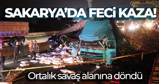 Sakarya D-650 Kara Yolu'nda feci kaza: 1 ölü, 1 yaralı