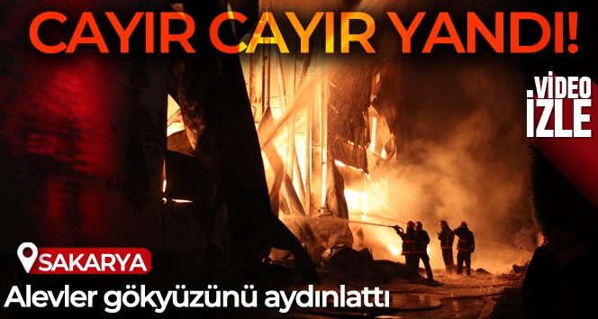 Sakarya'da ambalaj fabrikası alev alev yandı