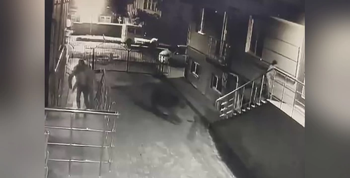 Sarıkamış'ta Boz Ayı Sürprizi: Güvenlik Kamerası Her Şeyi Kaydetti