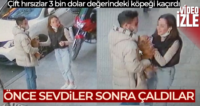 Sevgili çift işyeri önüne bırakılan köpeği severek çaldı