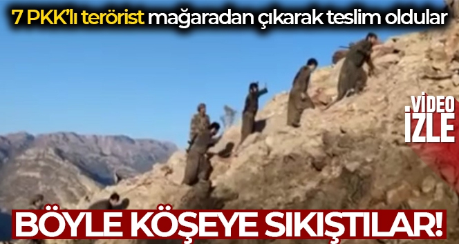 Teröristlerin mağaradan çıkarak teslim oldukları anlar görüntülendi