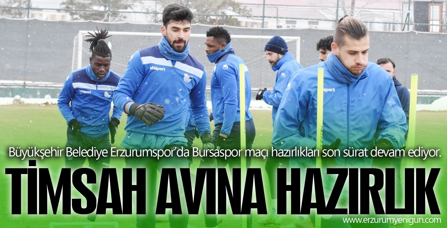 TİMSAH AVINA HAZIRLIK
