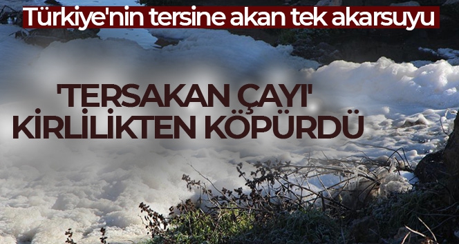 Türkiye'nin tersine akan tek akarsuyu olan 'Tersakan Çayı' kirlilikten köpürdü