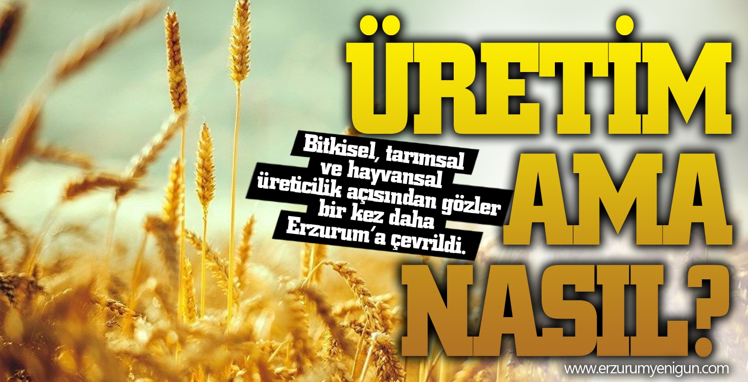 ÜRETİM AMA NASIL?