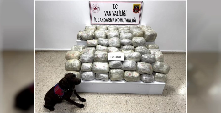 Van'da büyük uyuşturucu operasyonu: 70 kilogram skunk ele geçirildi