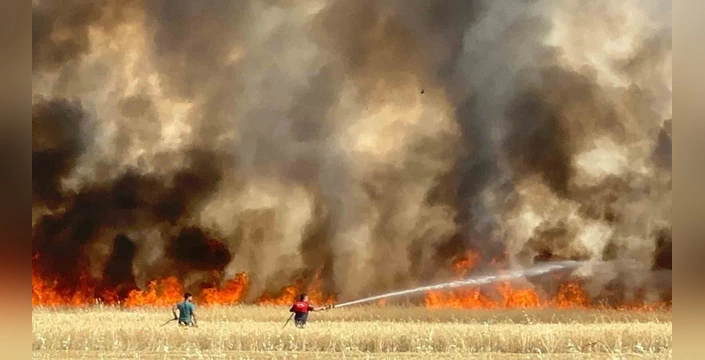 Yazıkonak'ta hububat yangını: Onlarca dönüm kül oldu