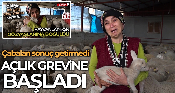 Yolu kapatılan besici kadın açlık grevine başladı